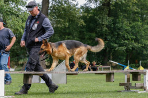 VDH Liefhebbersdag voor Duitse Herdershonden