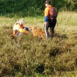 Trainingsweek Reddingshonden Hulpdienst Holland