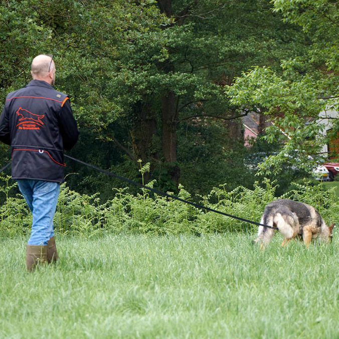 speuren duitse herder