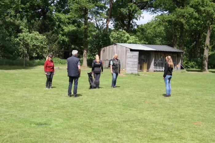 22 november Examen VZH, IGP en SpH bij VDH de Grensstreek