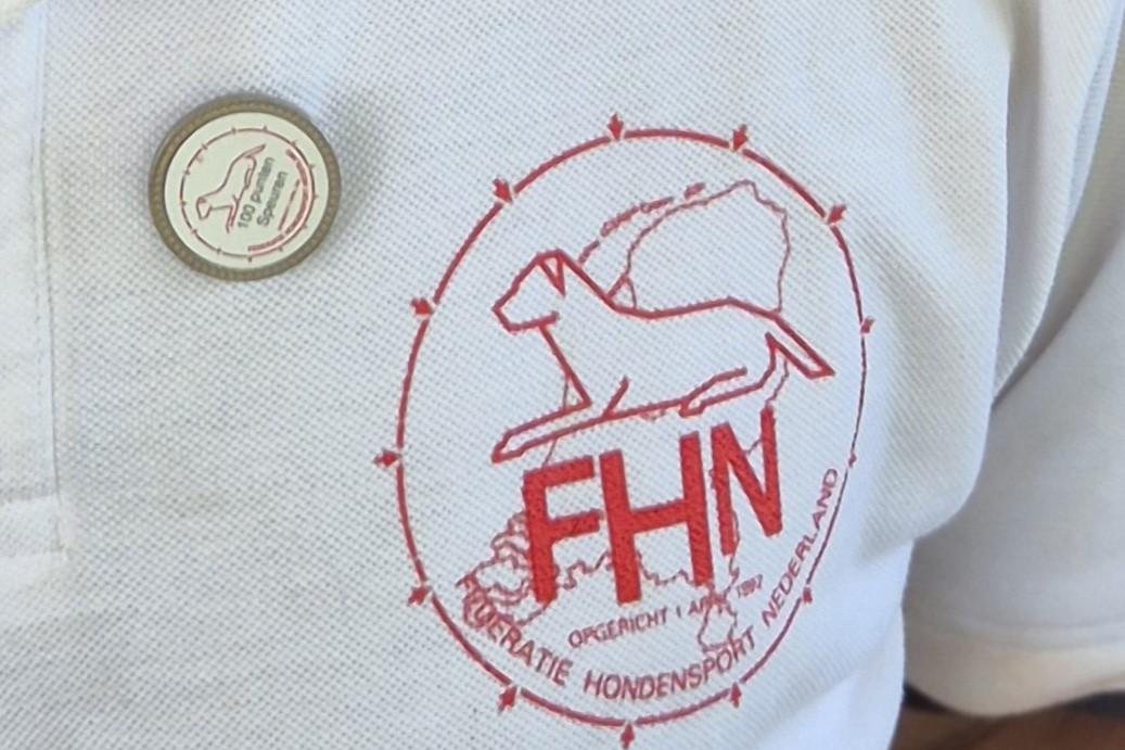 FHN 100 punten pin