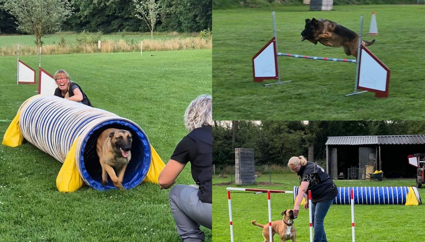 Agility bij de Grensstreek
