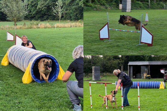 Agility bij De Grensstreek: geef je op!