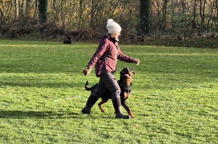 Kandidaten leveren goede prestaties op najaarsexamen