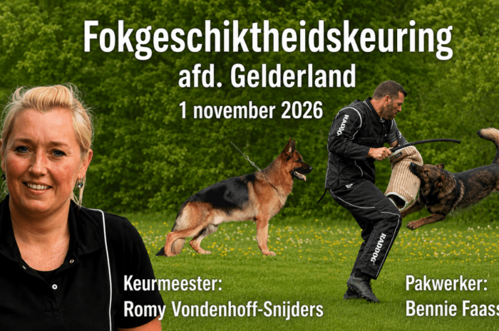 Schrijf je in voor de FokGeschiktheidsKeuring op 1 november 2026