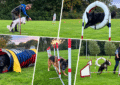 agility
