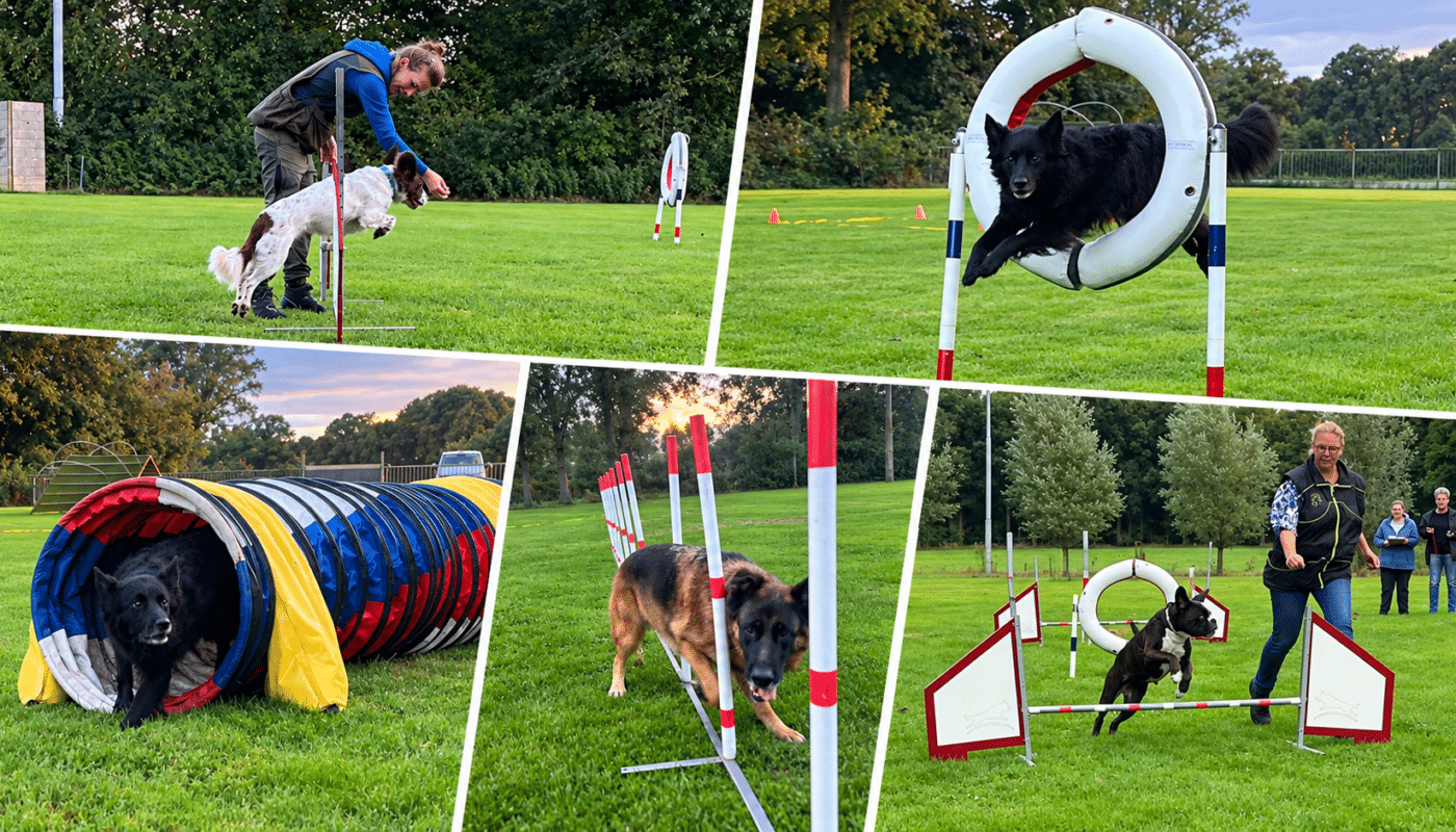 agility