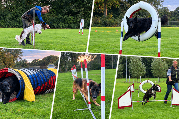 Twee plekjes vrij bij agility op woensdagavond